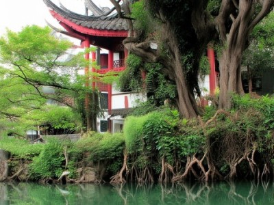 桂林榕湖饭店的具体地址可能因酒店而异，建议访问桂林旅游网站获取最新信息。