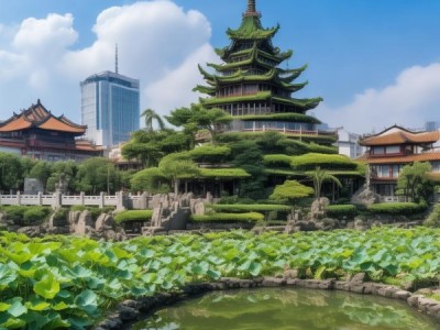 荔枝角在哪里？珠海地标与文化名胜地