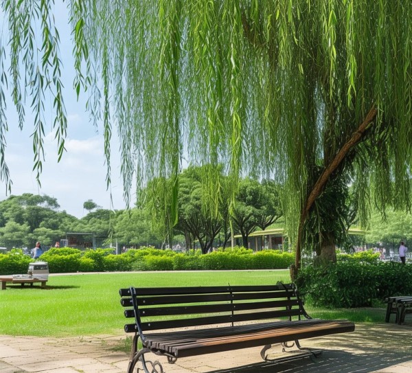 忠县人民公园最便宜