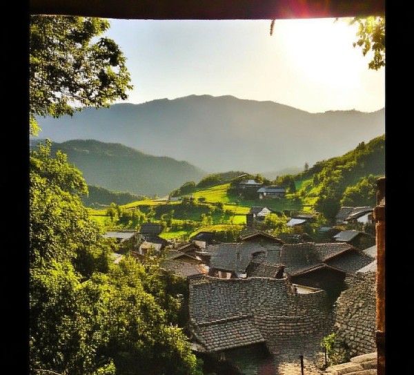 从泰勒的肩膀看，泰格尔住哪里