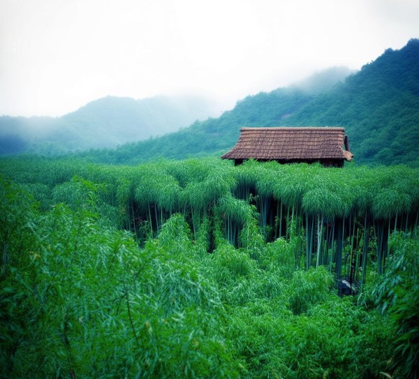 溧阳竹海，竹林深处的诗意栖居地，住在哪里才不辜负这方山水？